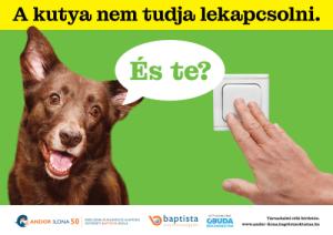 Diákjaink zöld üzenetei Óbuda utcáin